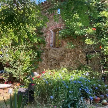Tatil Evi Mas Vizern Avec Bain Nordique *